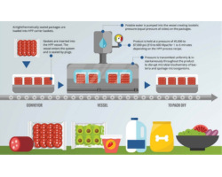 High-Pressure Processing (HPP): Principles, Applications, and Limitations in Food Preservation